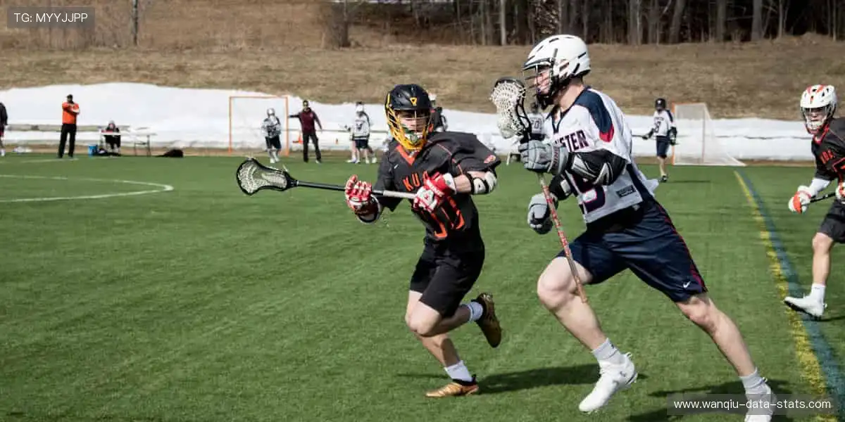 体育周边，冠军同款，你的专属装备库！🏆🎯